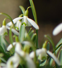 Schloss Wilhelmshöhe Winter