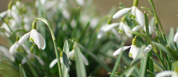 Schloss Wilhelmshöhe Winter